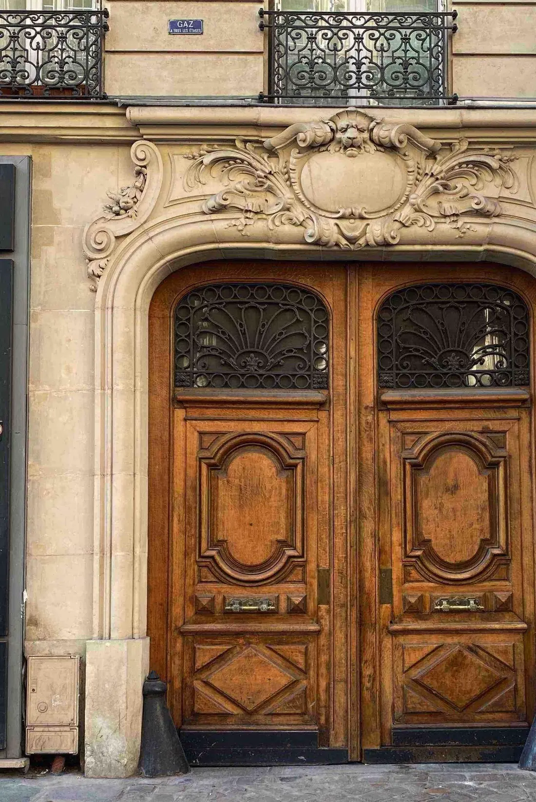 Porte cochère cintrée en bois richement sculpté, deux vantaux ornés de médaillons