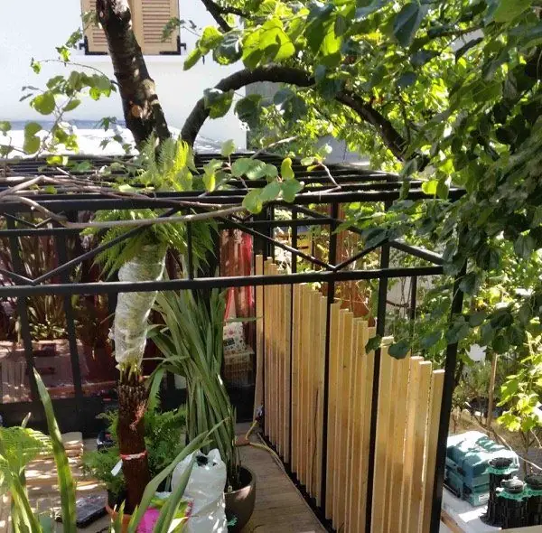 Pergola en acier doublée d’un claustra en mélèze, dans un jardin de ville planté